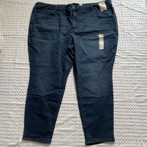 Terra & Sky Skinny Jeans 26W Petite 26WP Women’s NWT High Rise Stretch Dark Wash